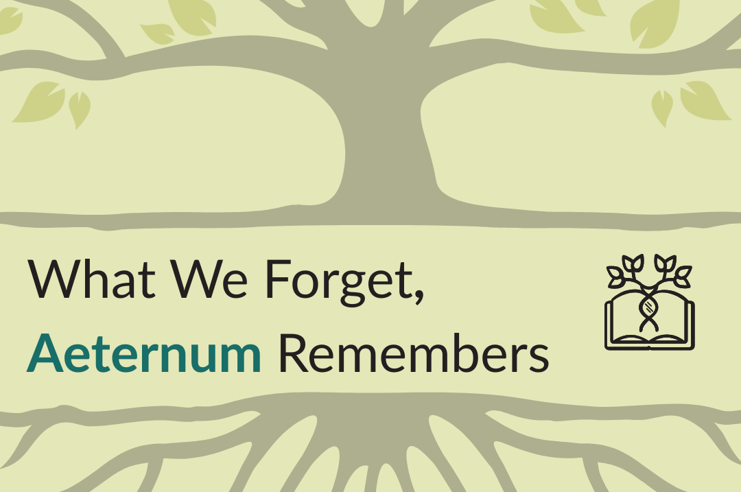What We Forget, Aeternum Remembers. So the World Will Never Forget We Were Here What We Forget, Aeternum Remembers. So the World Will Never Forget We Were Here